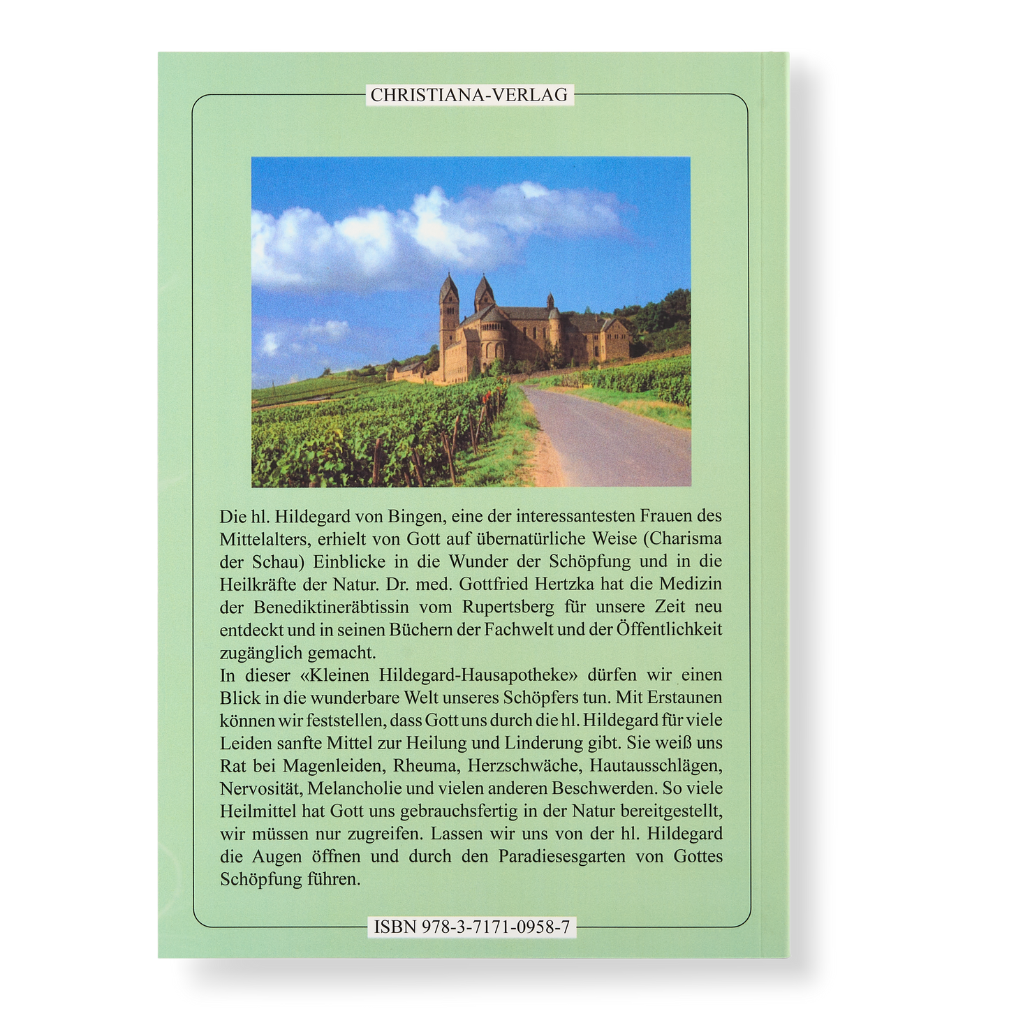Kleine Hildegard-Hausapotheke