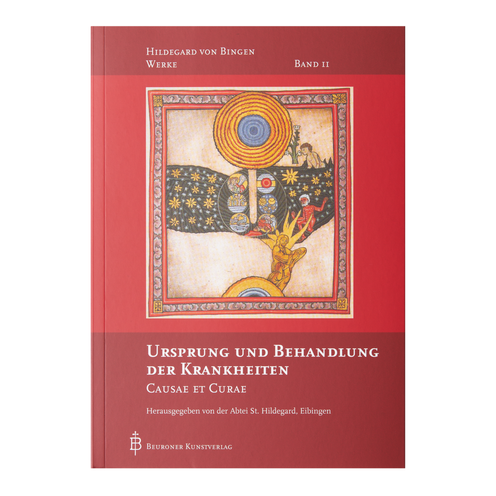 Causae et Curae – Ursprung und Behandlung